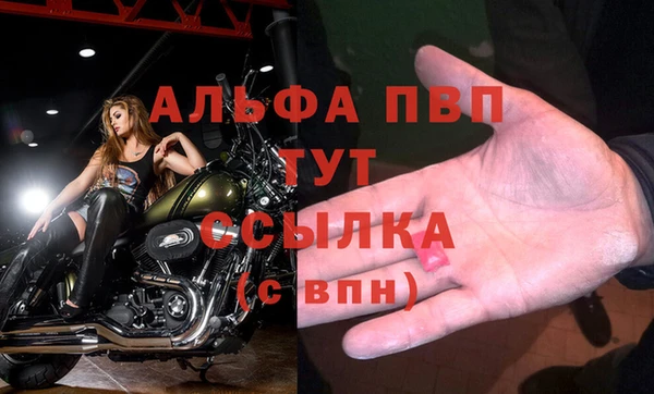 СК Покровск